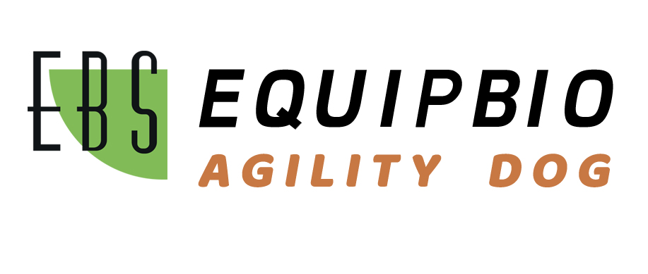 Logo EBS Agility